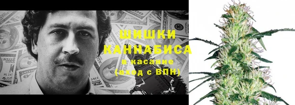индика Абинск