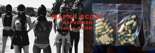 ПСИЛОЦИБИНОВЫЕ ГРИБЫ Алексеевка