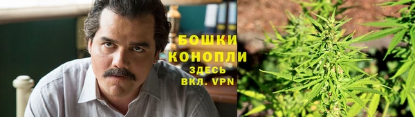 ПСИЛОЦИБИНОВЫЕ ГРИБЫ Алексеевка
