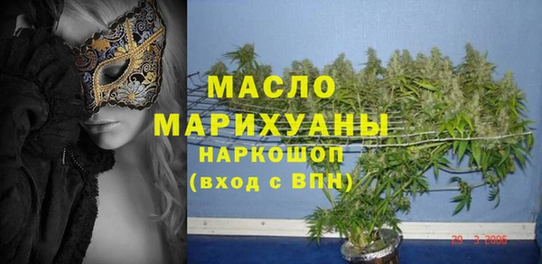 индика Абинск